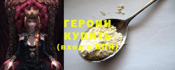 индика Снежногорск