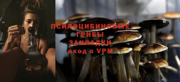 ПСИЛОЦИБИНОВЫЕ ГРИБЫ Богородицк