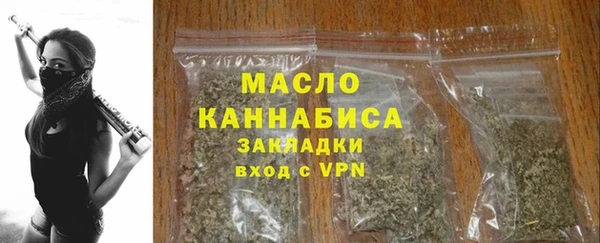 индика Снежногорск