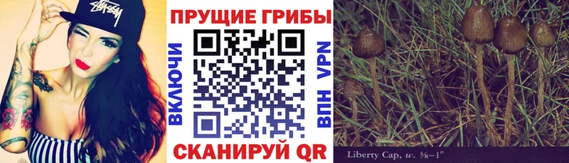 что такое наркотик  Северская  Псилоцибиновые грибы MAGIC MUSHROOMS 
